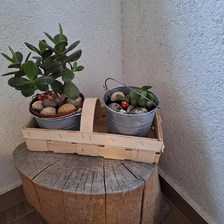 Apartmán Splendid