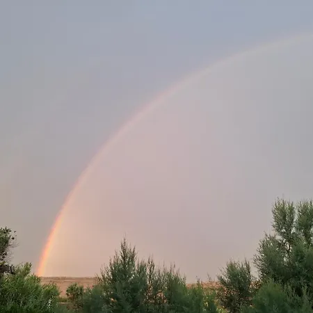 Splendid * Vlašići