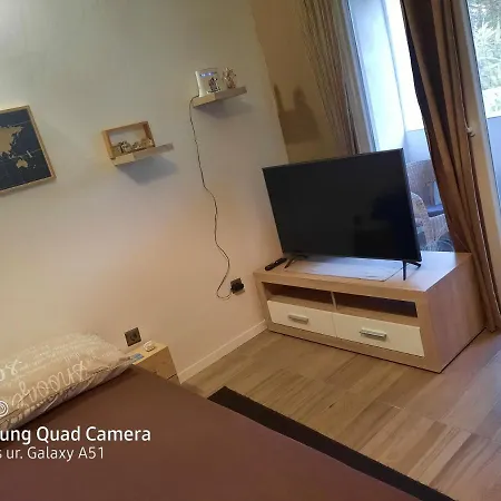 Splendid Apartment Vlasici