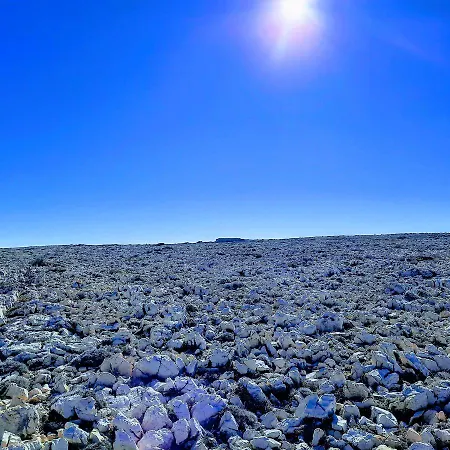 Apartment Splendid *