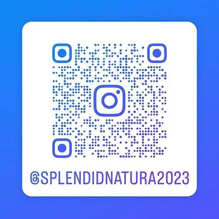 公寓 Splendid *