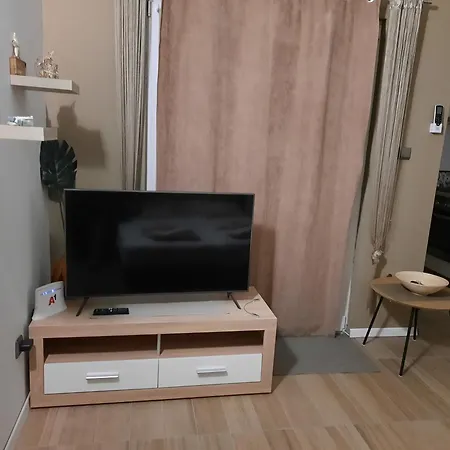 Apartment Splendid Vlasici