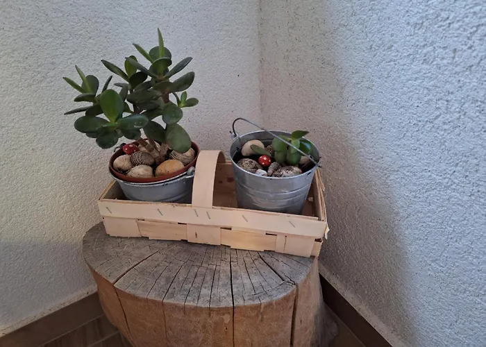 アパート Splendid