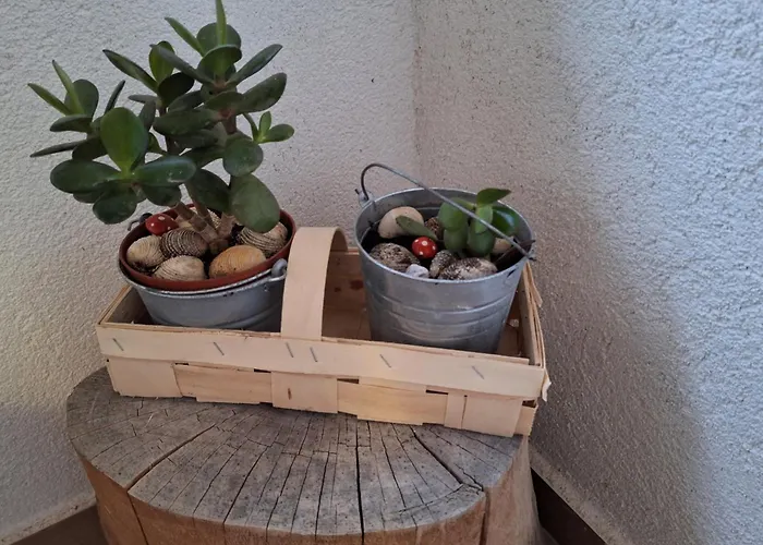 Splendid * Vlašići