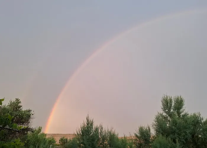 Splendid * Vlašići